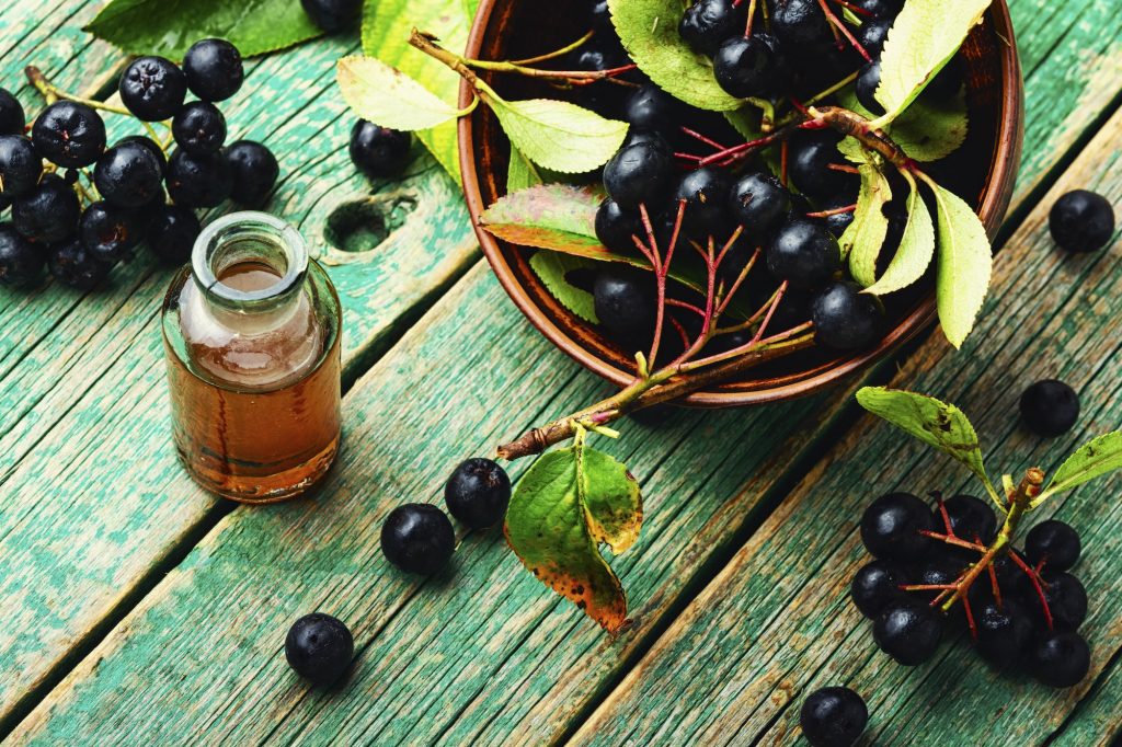 Chokeberry berries in herbal medicine